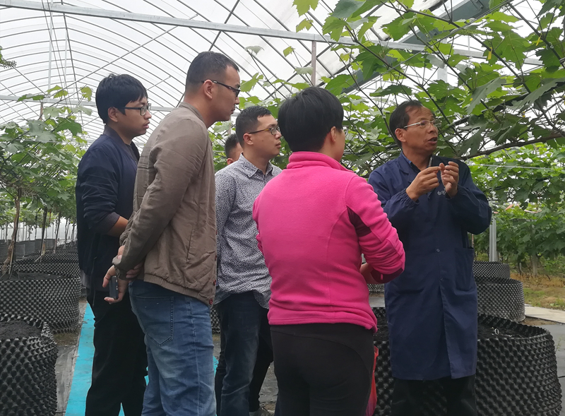 惠多利探索&ldquo;師徒制&rdquo;模式  培養(yǎng)實(shí)用型作物專家