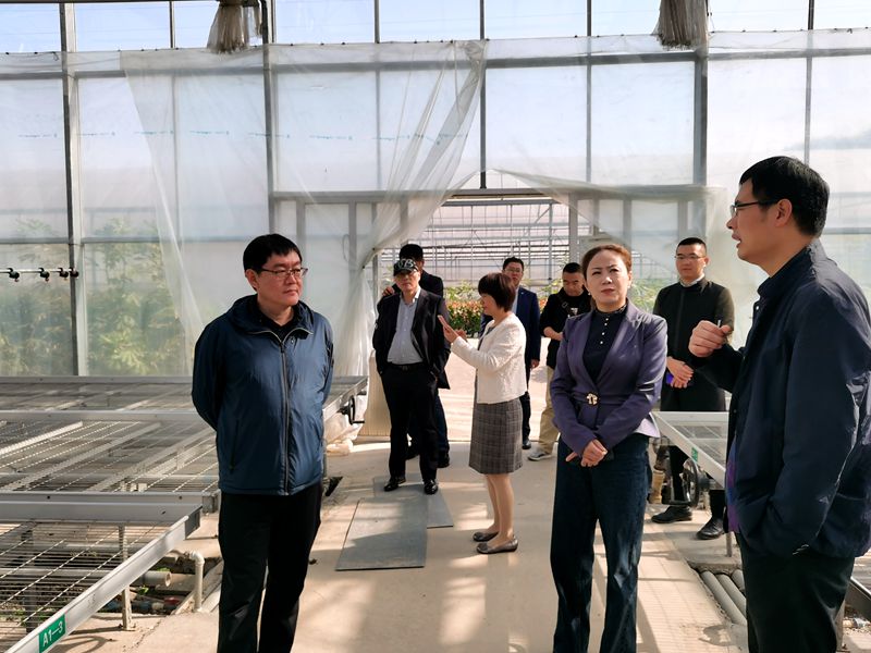 1604040980930704.jpg 瓶窯8_副本.jpg