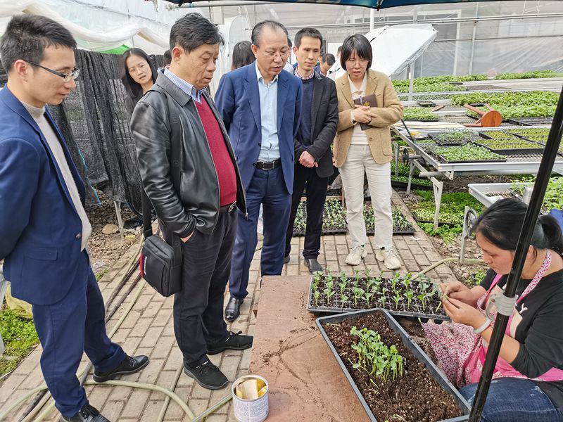 1617271027610774.jpg 參觀瑞安市馬嶼為農(nóng)服務中心2_副本.jpg