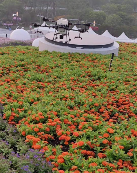 1623054750901530.jpg 1_副本.jpg