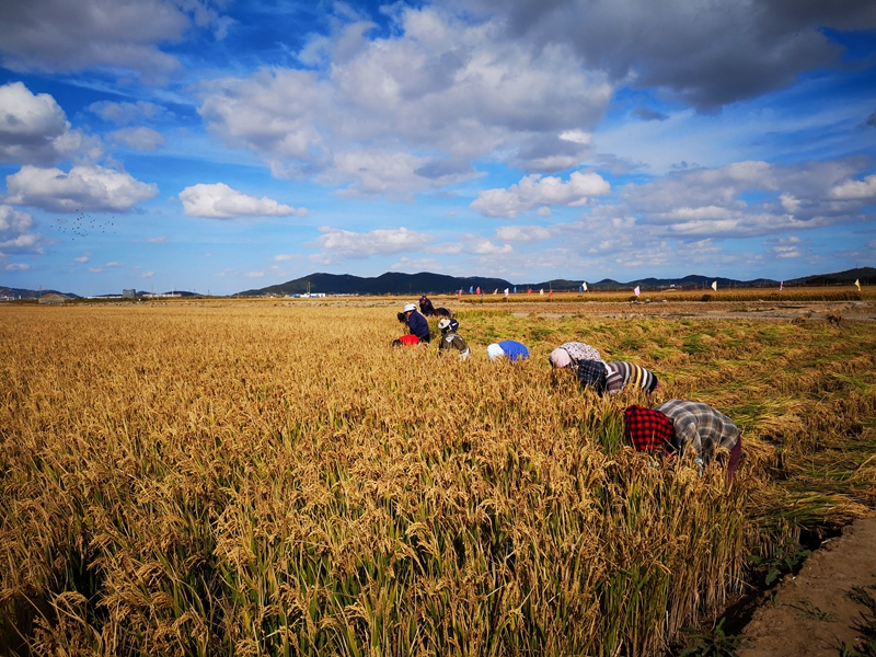 1646985041382028.jpg 2_副本.jpg