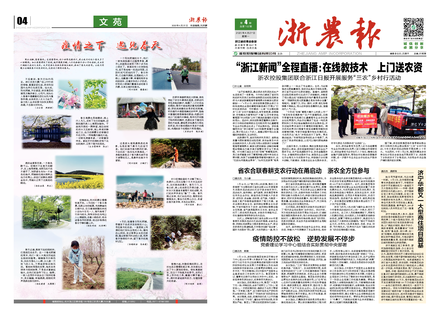 浙農報2020第4期（一、四版）